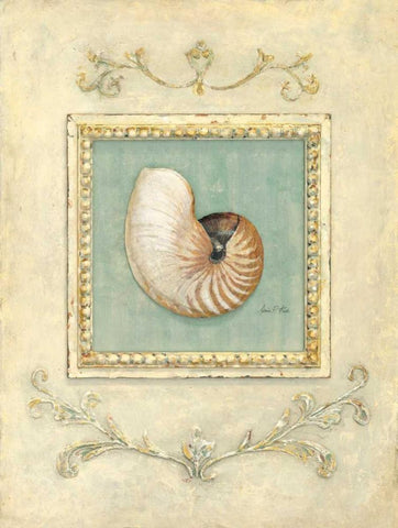 Classic Seashell Detail   White Modern Wood Framed Art Print with Double Matting by Fisk, Arnie