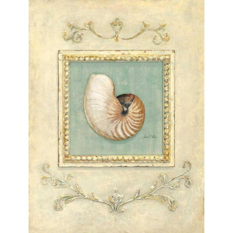 Classic Seashell Detail   White Modern Wood Framed Art Print by Fisk, Arnie