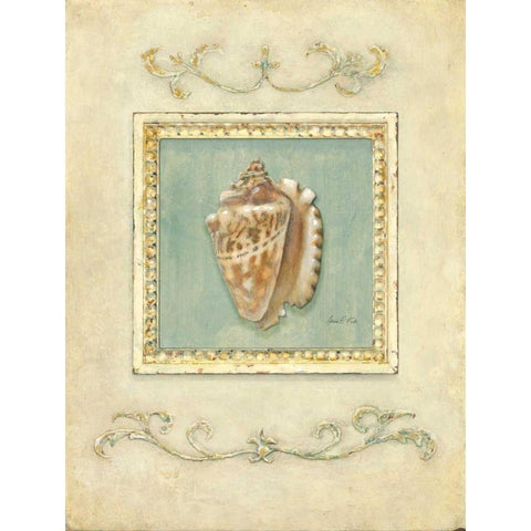 Classic Conch White Modern Wood Framed Art Print by Fisk, Arnie