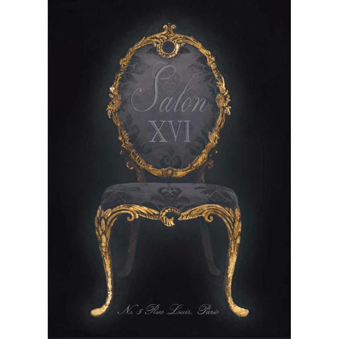 Salon XVI Black Modern Wood Framed Art Print by Fisk, Arnie