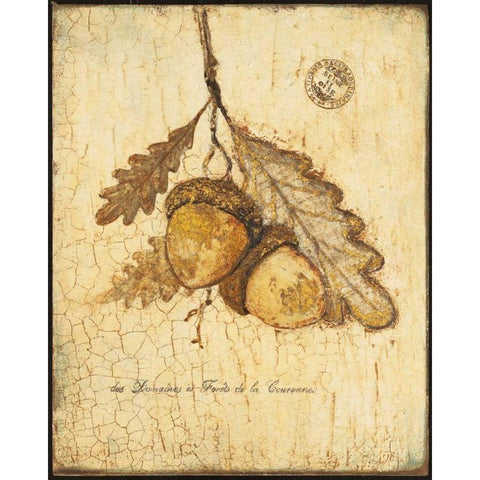 Gilded Oak Black Modern Wood Framed Art Print by Fisk, Arnie