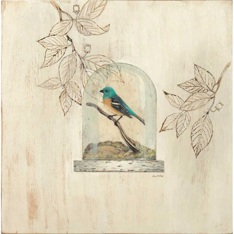 Aviary Display Black Modern Wood Framed Art Print with Double Matting by Fisk, Arnie