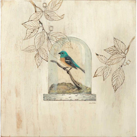 Aviary Display Gold Ornate Wood Framed Art Print with Double Matting by Fisk, Arnie