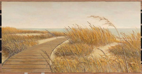 Beach Path Black Ornate Wood Framed Art Print with Double Matting by Fisk, Arnie