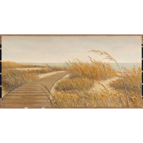 Beach Path White Modern Wood Framed Art Print by Fisk, Arnie