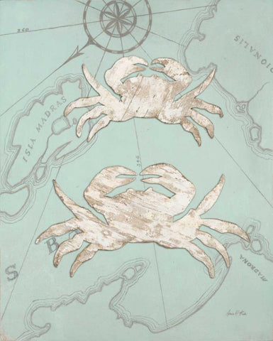 Coastal Crab  White Modern Wood Framed Art Print with Double Matting by Fisk, Arnie