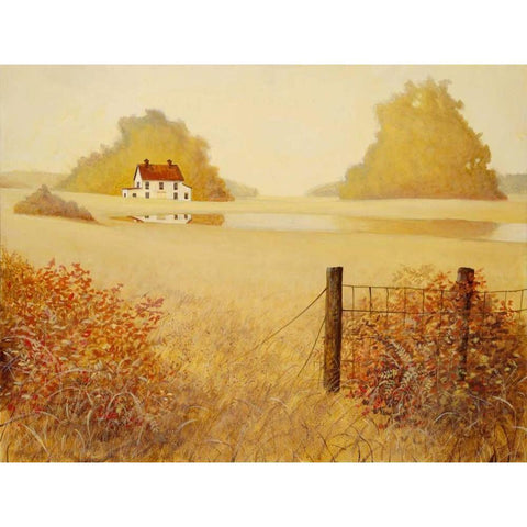 Golden Vista White Modern Wood Framed Art Print by Fisk, Arnie