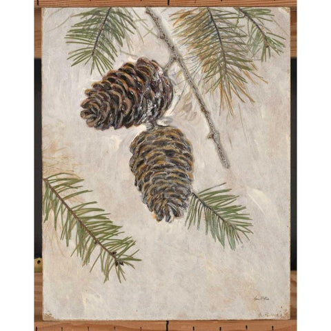 Rustic Pine Cones Black Modern Wood Framed Art Print with Double Matting by Fisk, Arnie