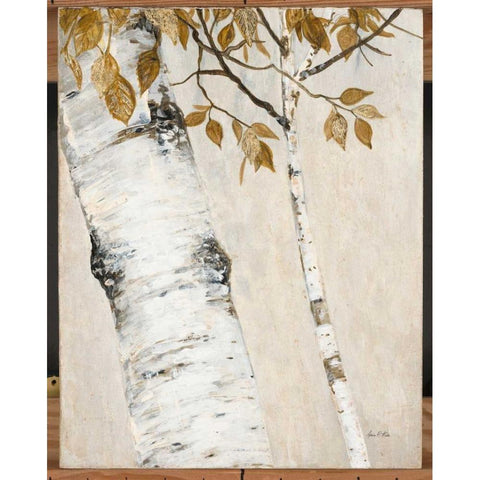 Rustic Birch Black Modern Wood Framed Art Print with Double Matting by Fisk, Arnie