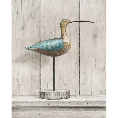 Curlew White Modern Wood Framed Art Print by Fisk, Arnie