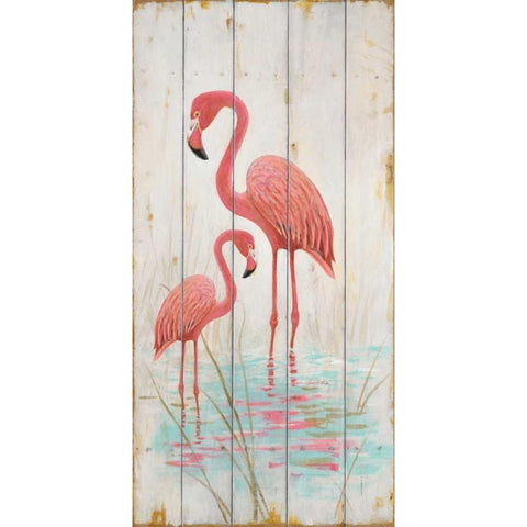 Flamingo Duo Black Modern Wood Framed Art Print with Double Matting by Fisk, Arnie