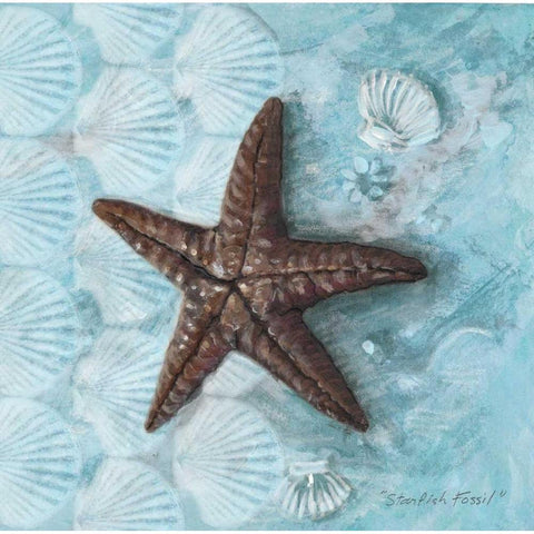 Starfish Fossil White Modern Wood Framed Art Print by Fisk, Arnie