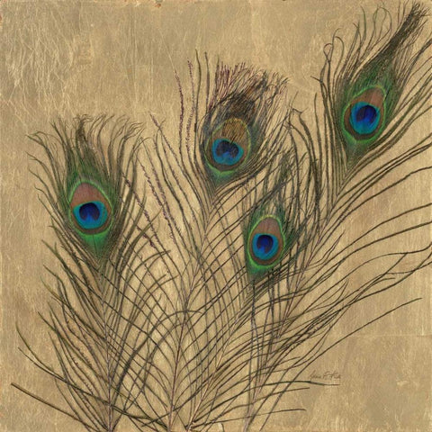 Gilded Peacock Feathers Black Modern Wood Framed Art Print with Double Matting by Fisk, Arnie