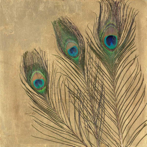 Metallic Peacock Feathers Gold Ornate Wood Framed Art Print with Double Matting by Fisk, Arnie