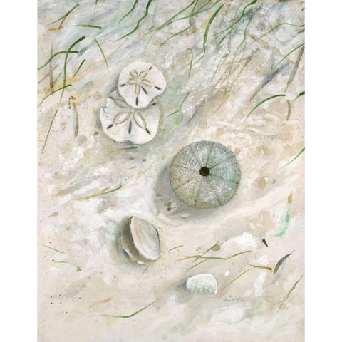 Seaside Urchin White Modern Wood Framed Art Print by FISK, Arnie