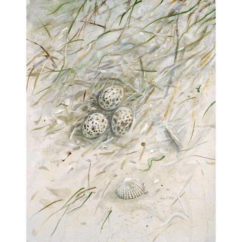 Seaside NestÂ Â Â Â  White Modern Wood Framed Art Print by FISK, Arnie