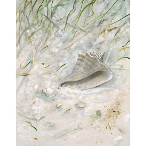 Seaside ConchÂ  Black Modern Wood Framed Art Print with Double Matting by FISK, Arnie