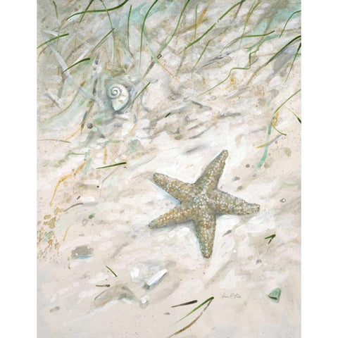 Seaside Starfish Black Modern Wood Framed Art Print with Double Matting by FISK, Arnie