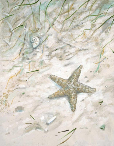 Seaside Starfish Black Ornate Wood Framed Art Print with Double Matting by FISK, Arnie