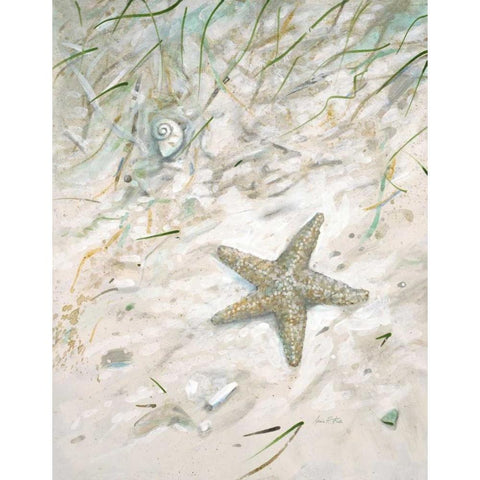 Seaside Starfish Black Modern Wood Framed Art Print by FISK, Arnie