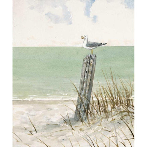 Seaside Perch White Modern Wood Framed Art Print by FISK, Arnie