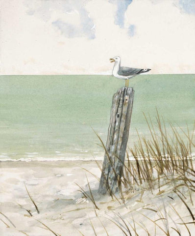 Seaside Perch White Modern Wood Framed Art Print with Double Matting by FISK, Arnie