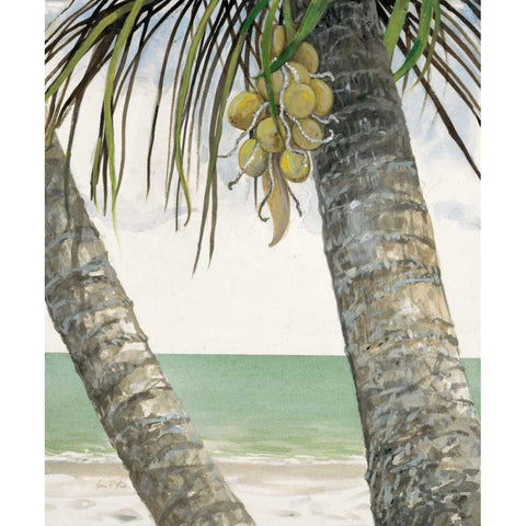Seaside Coconuts Black Modern Wood Framed Art Print with Double Matting by FISK, Arnie