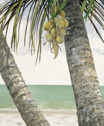 Seaside Coconuts Black Ornate Wood Framed Art Print with Double Matting by FISK, Arnie