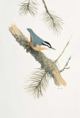 Bird in Grey White Modern Wood Framed Art Print with Double Matting by FISK, Arnie