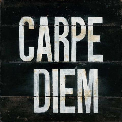 Industrial Chic Carpe Diem Black Ornate Wood Framed Art Print with Double Matting by Fisk, Arnie