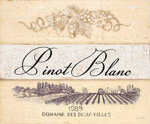 Pinot Blanc Cellar Reserve White Modern Wood Framed Art Print with Double Matting by Fisk, Arnie