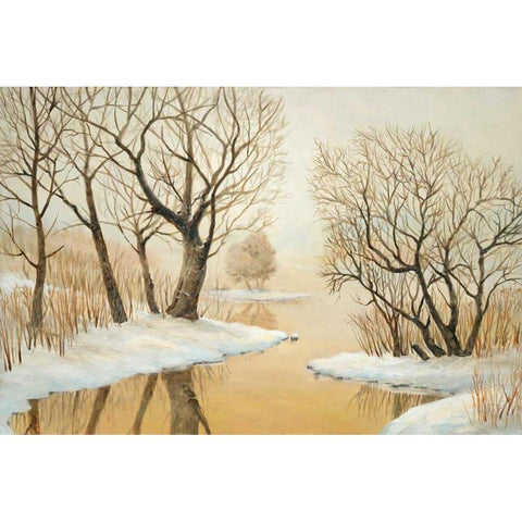 Winter Lake Black Modern Wood Framed Art Print with Double Matting by Fisk, Arnie