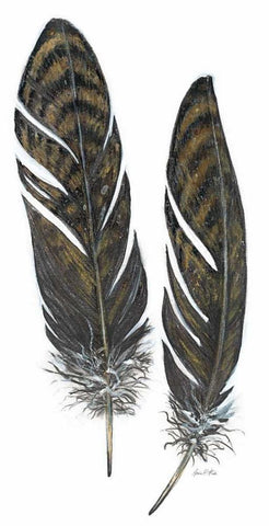 Feather Study 1 Black Ornate Wood Framed Art Print with Double Matting by Fisk, Arnie