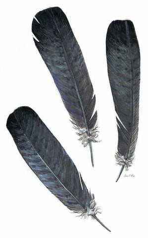 Feather Study 2 Black Ornate Wood Framed Art Print with Double Matting by Fisk, Arnie