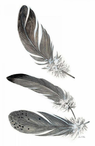 Feather Study 3 Black Ornate Wood Framed Art Print with Double Matting by Fisk, Arnie