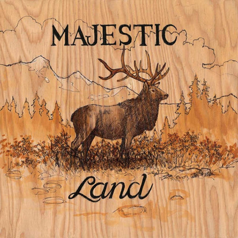 Majestic Land Black Modern Wood Framed Art Print with Double Matting by Fisk, Arnie