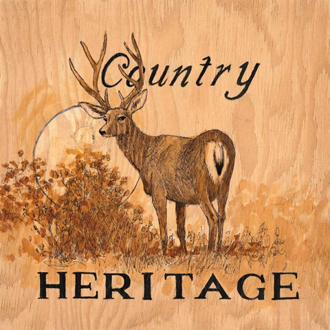 Country Heritage White Modern Wood Framed Art Print with Double Matting by Fisk, Arnie