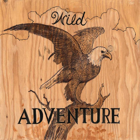 Wild Adventure Black Modern Wood Framed Art Print with Double Matting by Fisk, Arnie