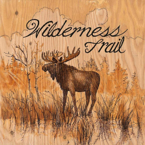 Wilderness Trail White Modern Wood Framed Art Print with Double Matting by Fisk, Arnie