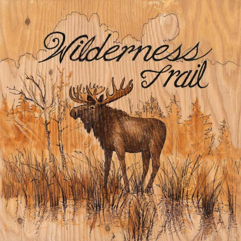 Wilderness Trail Black Modern Wood Framed Art Print with Double Matting by Fisk, Arnie