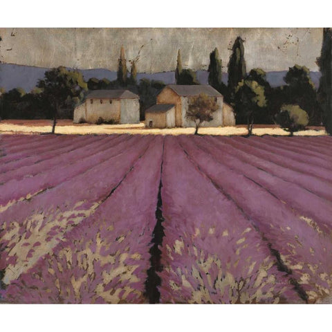 Lavender Weekend Black Modern Wood Framed Art Print with Double Matting by Wiens, James