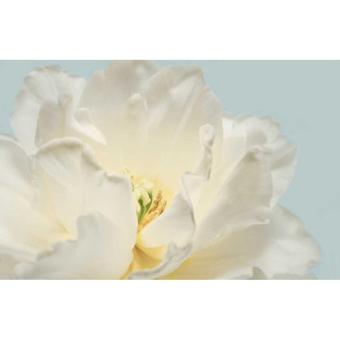 Now Serene Gold Ornate Wood Framed Art Print with Double Matting by Greenwood, Julie