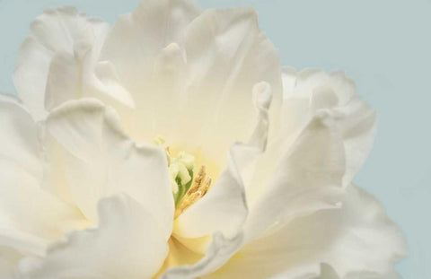 Now Serene White Modern Wood Framed Art Print with Double Matting by Greenwood, Julie