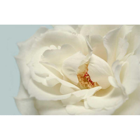 Now Calm Gold Ornate Wood Framed Art Print with Double Matting by Greenwood, Julie