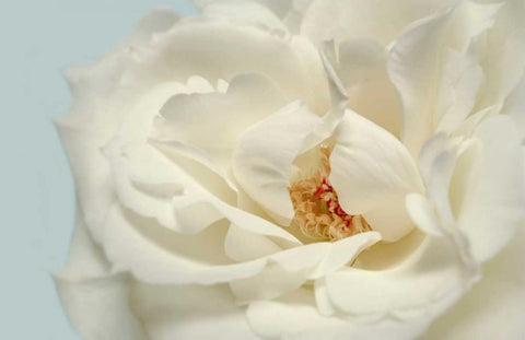 Now Calm Black Ornate Wood Framed Art Print with Double Matting by Greenwood, Julie