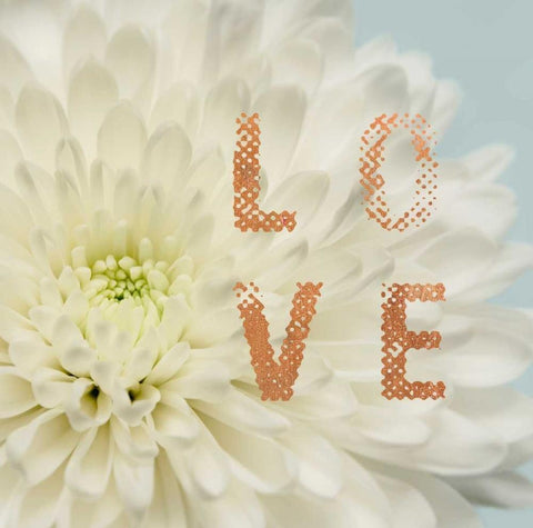 Love Flower White Modern Wood Framed Art Print with Double Matting by Greenwood, Julie