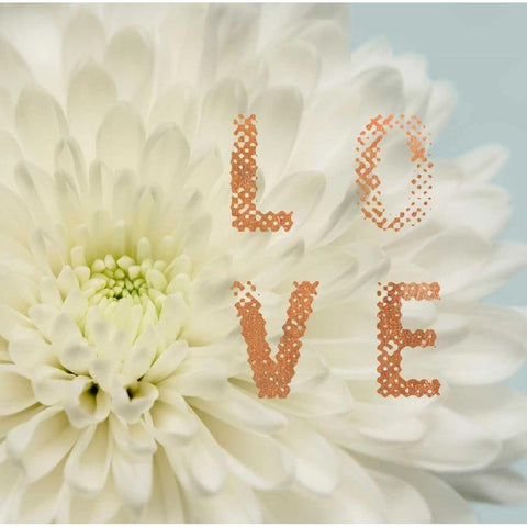 Love Flower Black Modern Wood Framed Art Print with Double Matting by Greenwood, Julie