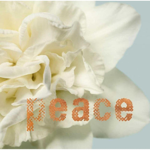 Peace Blossom Gold Ornate Wood Framed Art Print with Double Matting by Greenwood, Julie