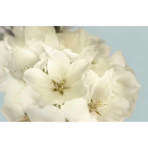 Summer Whites White Modern Wood Framed Art Print by Greenwood, Julie