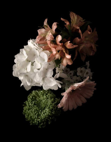 Midnight Hydrangea White Modern Wood Framed Art Print with Double Matting by Greenwood, Julie